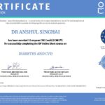 Diabetes & CVD - IDF School of Diabetes